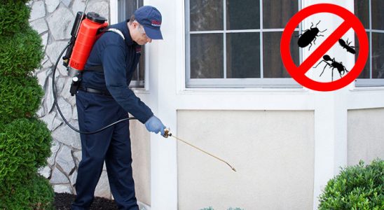 Villakent Akrep İlaçlama böcek ilaçlama ve haşere kontrolü — ilaclama-tr.com